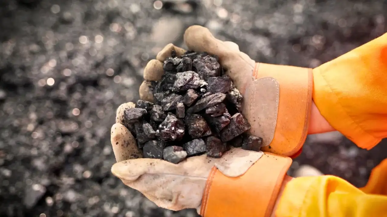 Công Ty TNHH Thương Mại Xuất Nhập Khẩu Lộc Vạn Phát