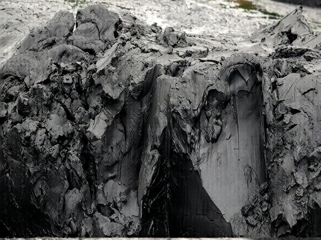 Công Ty TNHH Thương Mại Xuất Nhập Khẩu Lộc Vạn Phát