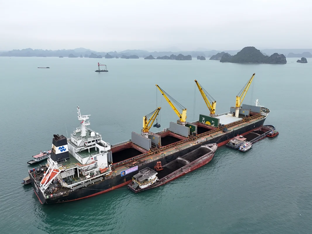 Công Ty TNHH Thương Mại Xuất Nhập Khẩu Lộc Vạn Phát