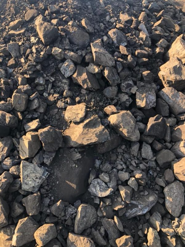 Công Ty TNHH Thương Mại Xuất Nhập Khẩu Lộc Vạn Phát