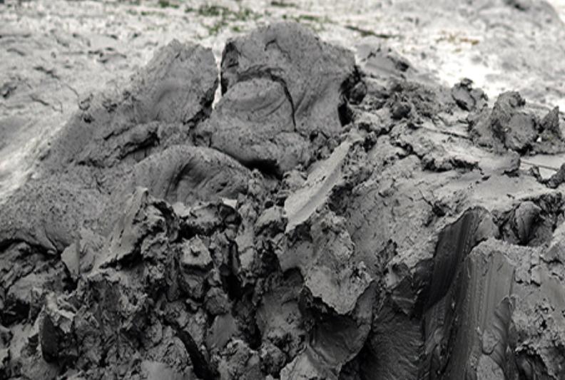 Công Ty TNHH Thương Mại Xuất Nhập Khẩu Lộc Vạn Phát