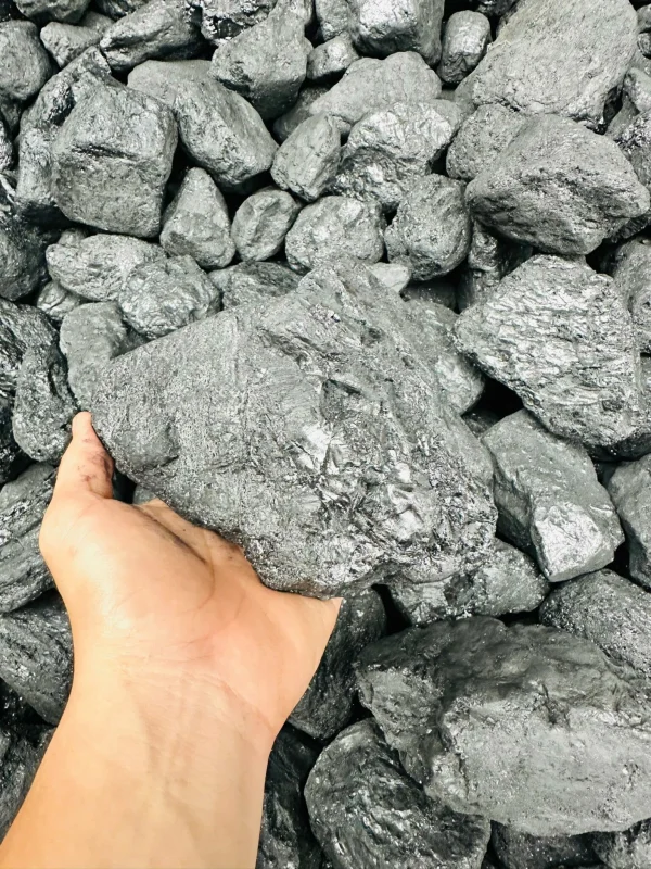 Công Ty TNHH Thương Mại Xuất Nhập Khẩu Lộc Vạn Phát