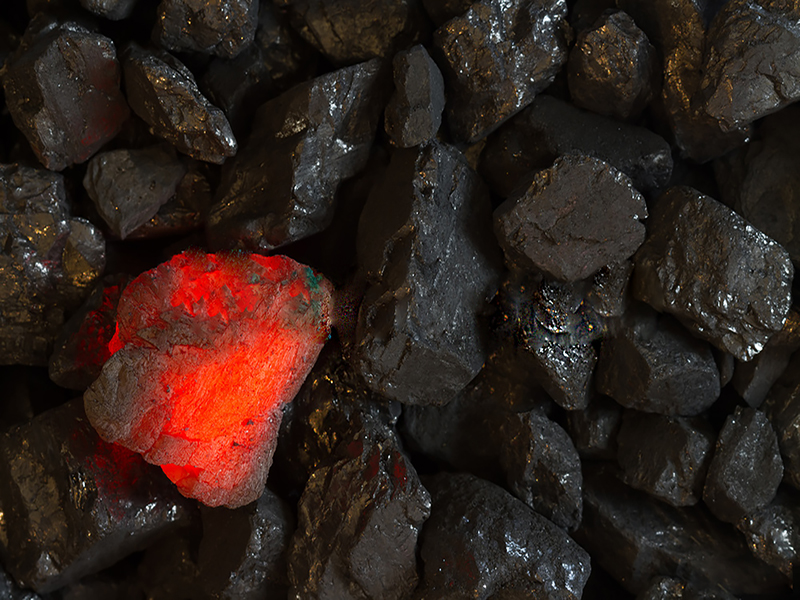 Công Ty TNHH Thương Mại Xuất Nhập Khẩu Lộc Vạn Phát