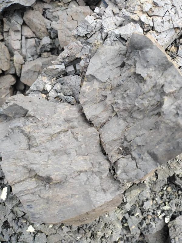 Công Ty TNHH Thương Mại Xuất Nhập Khẩu Lộc Vạn Phát