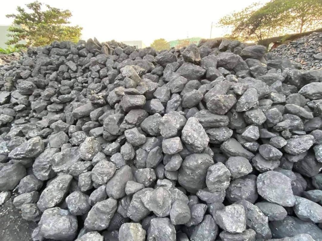 Công Ty TNHH Thương Mại Xuất Nhập Khẩu Lộc Vạn Phát