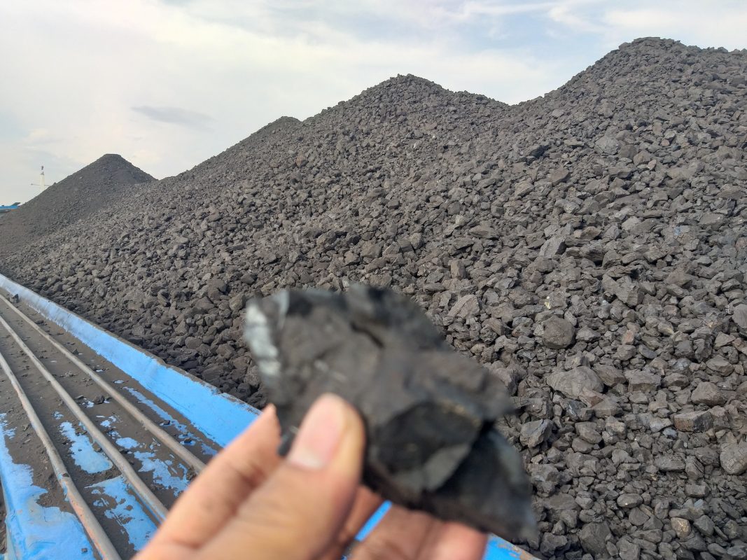 Công Ty TNHH Thương Mại Xuất Nhập Khẩu Lộc Vạn Phát