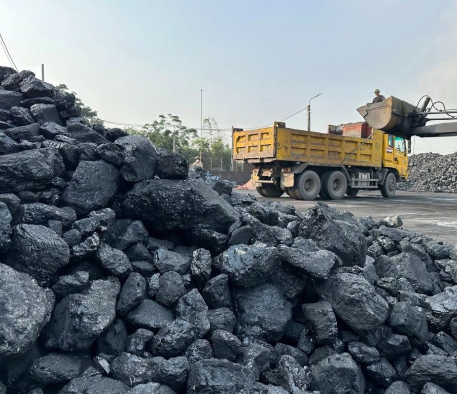 Công Ty TNHH Thương Mại Xuất Nhập Khẩu Lộc Vạn Phát