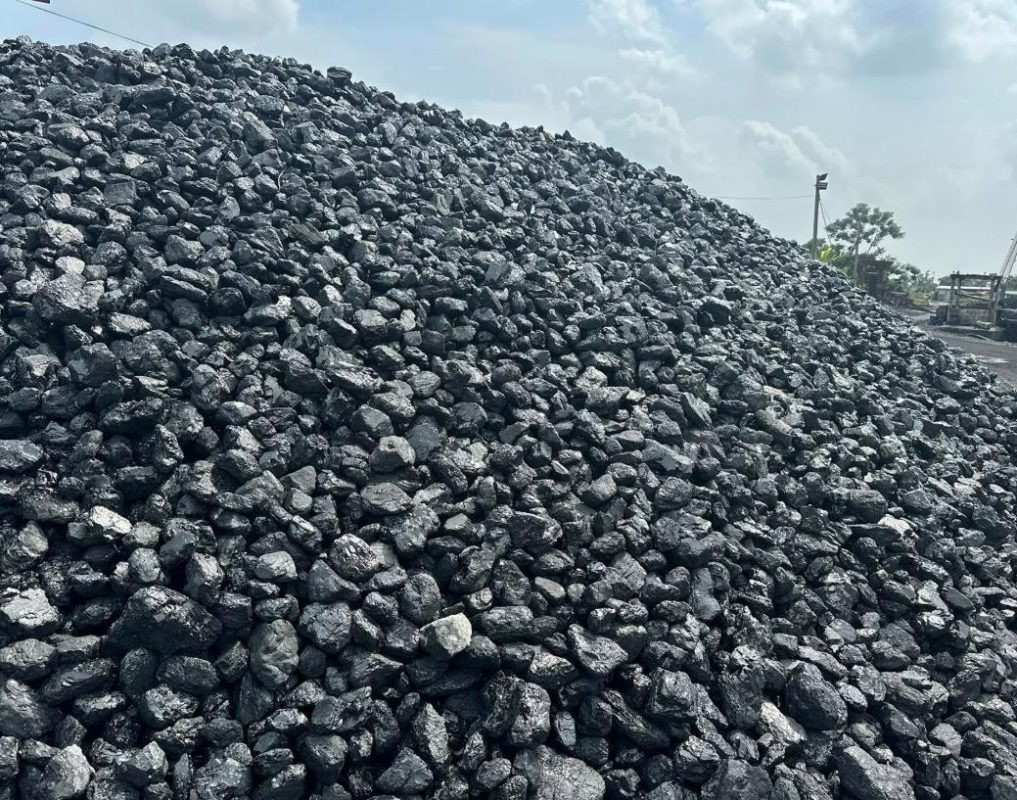 Công Ty TNHH Thương Mại Xuất Nhập Khẩu Lộc Vạn Phát