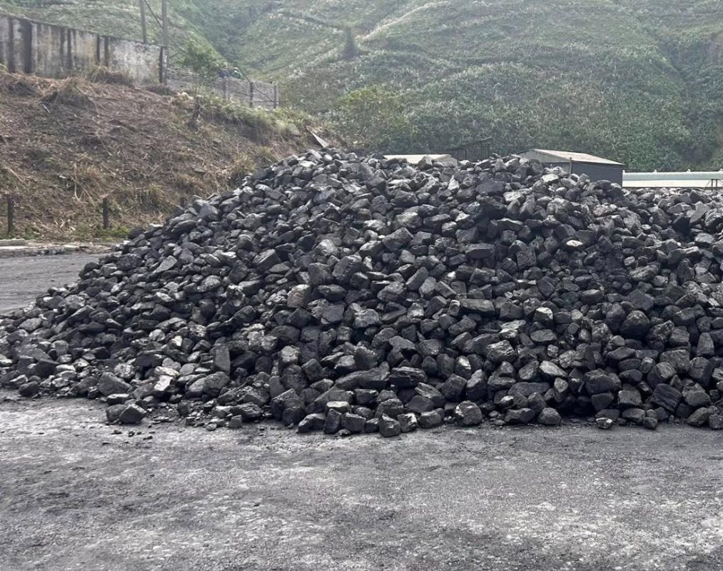 Công Ty TNHH Thương Mại Xuất Nhập Khẩu Lộc Vạn Phát